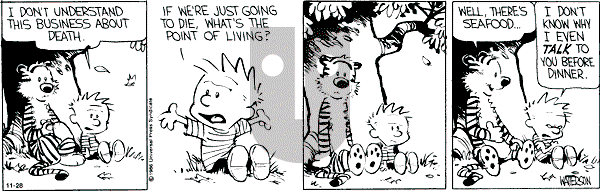 Calvin and Hobbes - Thursday November 28, 1991 Comic Strip