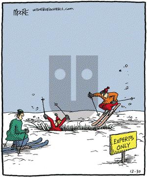 In the Bleachers on Saturday December 30, 2006 Comic Strip