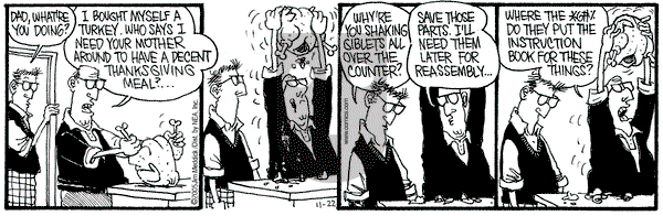 Monty on Tuesday November 22, 2005 Comic Strip