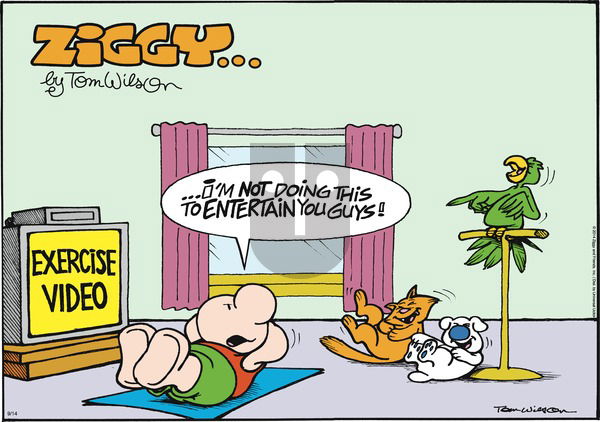 Ziggy - Sunday September 14, 2014 Comic Strip
