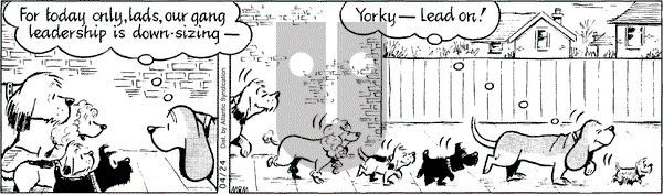 Fred Basset on Friday April 24, 2009 Comic Strip