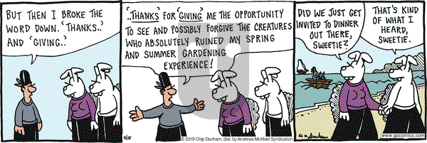Overboard on Saturday November 16, 2019 Comic Strip