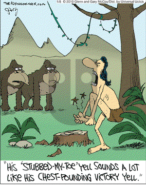 The Flying McCoys on Friday January 8, 2010 Comic Strip
