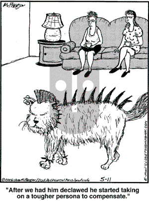 Close to Home on Thursday May 11, 2006 Comic Strip