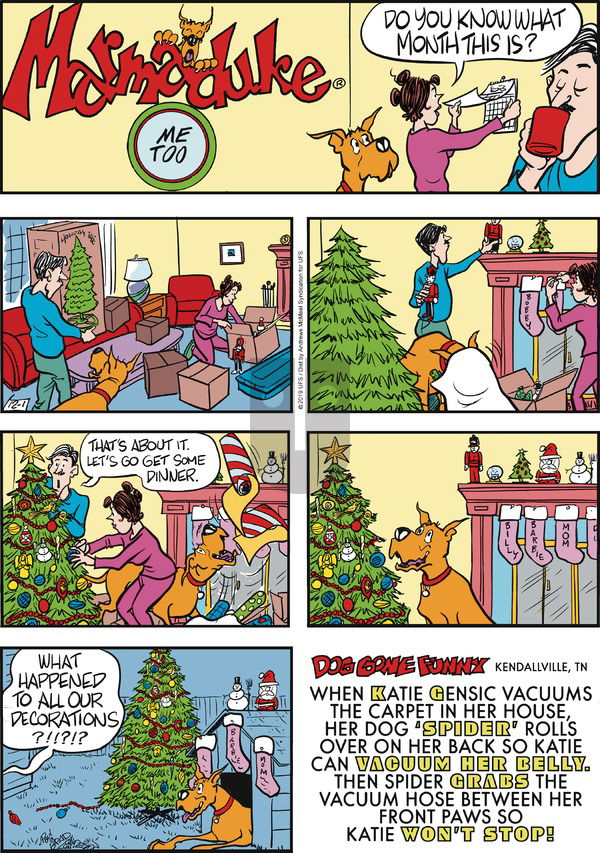 Marmaduke on Sunday December 1, 2019 Comic Strip