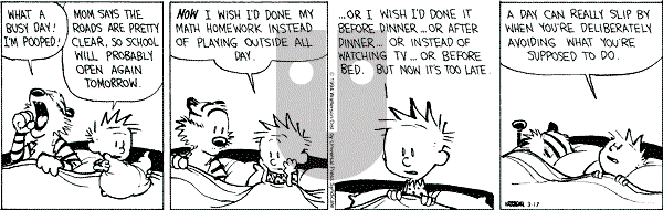 Calvin and Hobbes - Thursday March 17, 1994 Comic Strip