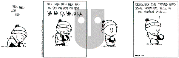 Calvin and Hobbes on Friday January 20, 1995 Comic Strip