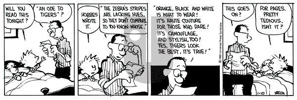 Calvin and Hobbes - Tuesday January 10, 1989 Comic Strip