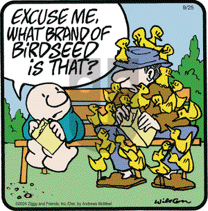 Ziggy - Wednesday September 25, 2024 Comic Strip