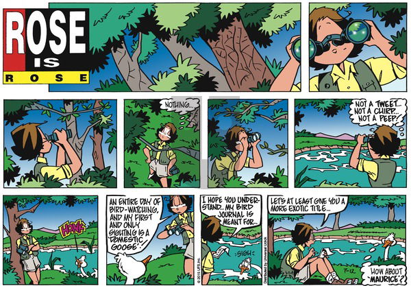 Rose is Rose on Sunday July 12, 2015 Comic Strip