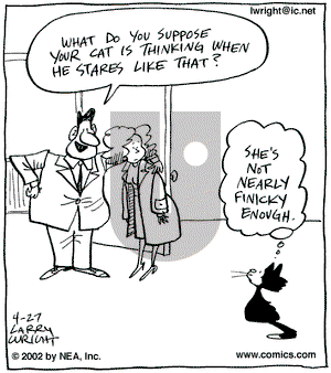 Kit 'N' Carlyle on Saturday April 27, 2002 Comic Strip