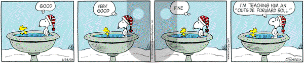 Peanuts on Saturday January 24, 2004 Comic Strip
