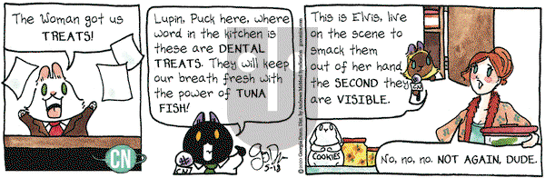 Breaking Cat News on Monday May 18, 2020 Comic Strip