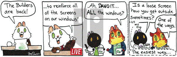 Breaking Cat News - Monday August 12, 2024 Comic Strip