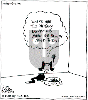 Kit 'N' Carlyle on Thursday June 24, 2004 Comic Strip