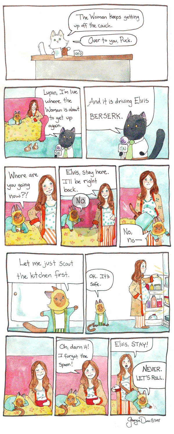 Breaking Cat News - Wednesday December 7, 2016 Comic Strip