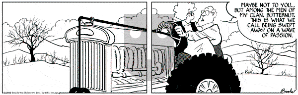 9 Chickweed Lane on Tuesday January 15, 2002 Comic Strip