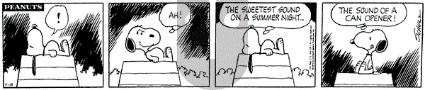Peanuts on Saturday July 13, 1974 Comic Strip