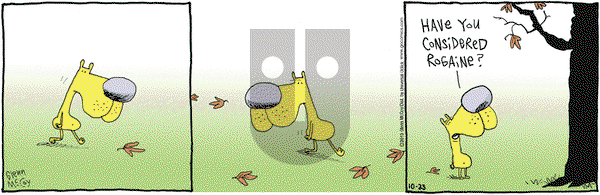 The Duplex on Wednesday October 23, 2013 Comic Strip