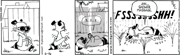 Over the Hedge on Friday June 16, 2000 Comic Strip