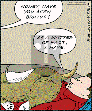 Real Life Adventures on Wednesday August 30, 2017 Comic Strip