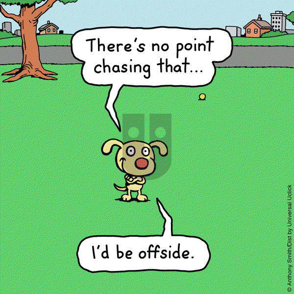 Cattitude — Doggonit on Monday February 17, 2025 Comic Strip