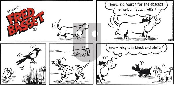 Fred Basset on Sunday June 17, 2018 Comic Strip