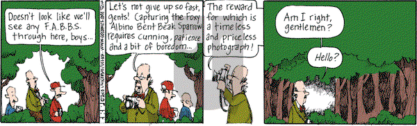 The Elderberries on Wednesday September 17, 2025 Comic Strip