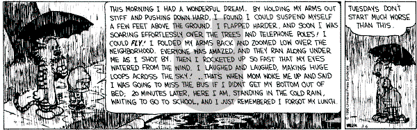Calvin and Hobbes - Tuesday March 6, 1990 Comic Strip
