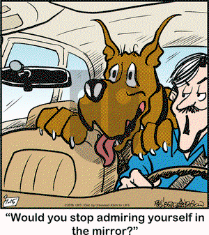 Marmaduke on Friday July 15, 2016 Comic Strip