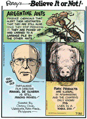 Ripley's Believe It or Not on Thursday July 30, 2009 Comic Strip