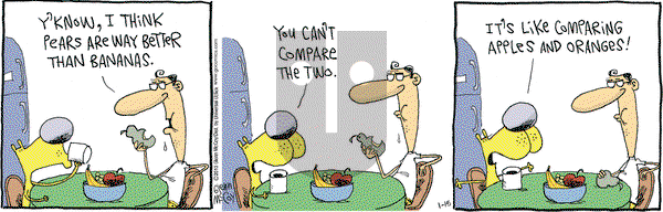 The Duplex on Tuesday January 15, 2013 Comic Strip
