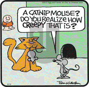 Ziggy on Wednesday June 12, 2013 Comic Strip