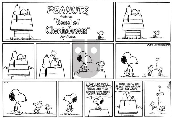 Peanuts on Sunday October 19, 1969 Comic Strip