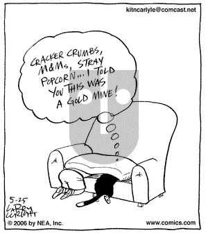 Kit 'N' Carlyle on Thursday May 25, 2006 Comic Strip