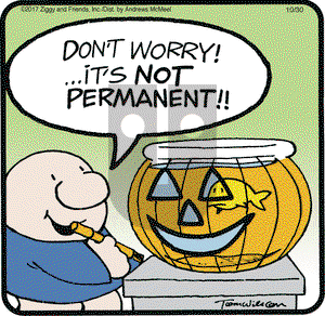 Ziggy on Monday October 30, 2017 Comic Strip