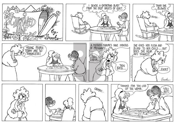 9 Chickweed Lane on Sunday July 25, 1993 Comic Strip