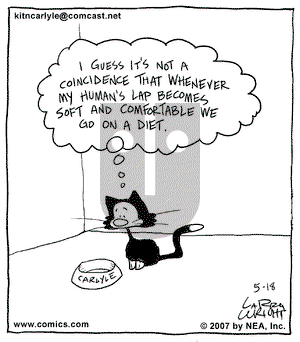 Kit 'N' Carlyle on Friday May 18, 2007 Comic Strip