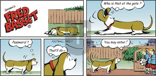 Fred Basset on Sunday August 9, 2020 Comic Strip