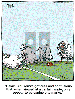 In the Bleachers on Wednesday October 10, 2007 Comic Strip