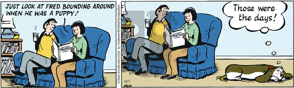 Fred Basset on Monday December 7, 2020 Comic Strip