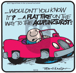 Ziggy - Saturday October 13, 2007 Comic Strip