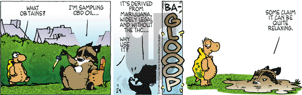 Over the Hedge on Monday July 29, 2019 Comic Strip