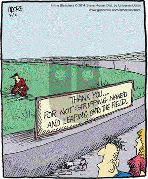 In the Bleachers on Saturday July 19, 2014 Comic Strip