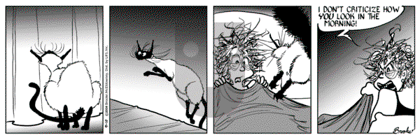 9 Chickweed Lane on Friday September 10, 2004 Comic Strip