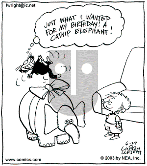 Kit 'N' Carlyle on Friday June 27, 2003 Comic Strip