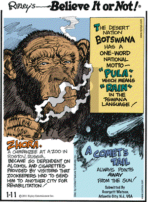 Ripley's Believe It or Not on Tuesday January 11, 2011 Comic Strip