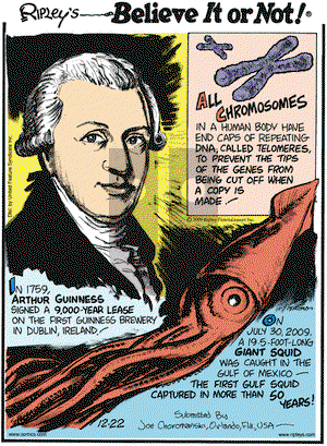 Ripley's Believe It or Not on Tuesday December 22, 2009 Comic Strip