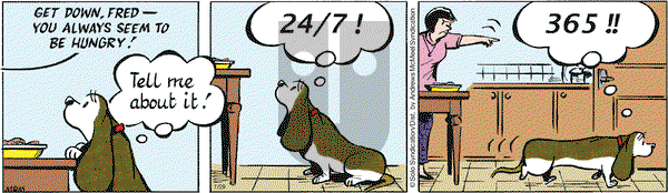 Fred Basset on Thursday July 29, 2021 Comic Strip