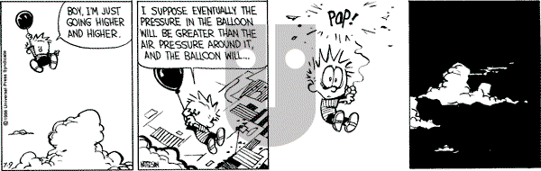 Calvin and Hobbes - Saturday July 9, 1988 Comic Strip